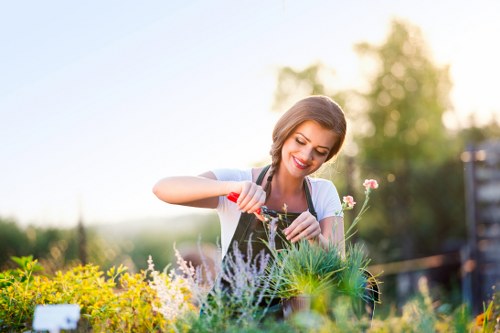Gardener trimming a suburban hedge with shears
