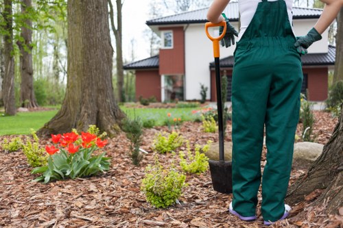 A gardener, dressed in green overalls and black gloves, is seen from behind, working in a front garden with a garden fork positioned upright in the ground. The garden features a well-maintained lawn, with a large mature tree trunk in the foreground and a bed of vibrant red tulips surrounded by smaller, neatly trimmed green shrubs. The ground is covered with mulch, providing a tidy appearance, and the background includes a modern red-brick house with large windows and a black tiled roof, set amidst a lush, leafy environment typical of Mortlake. The scene suggests outdoor maintenance activity aimed at landscaping or garden care, with natural daylight illuminating the scene, all aligned with professional gardening and landscaping services that might be offered in the Mortlake area by companies such as Hedge Trimming Mortlake.
